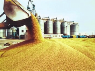 Grain and Oil Machinery