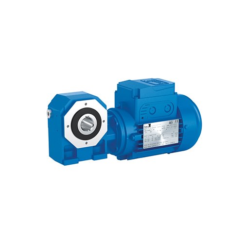Worm Gear Motor